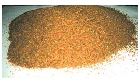celery seed